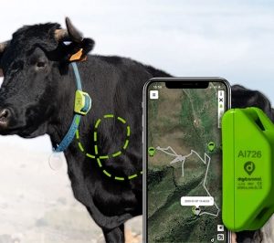 Digitanimal Localizador GPS para animales Ref.ACDIGICOTUO01